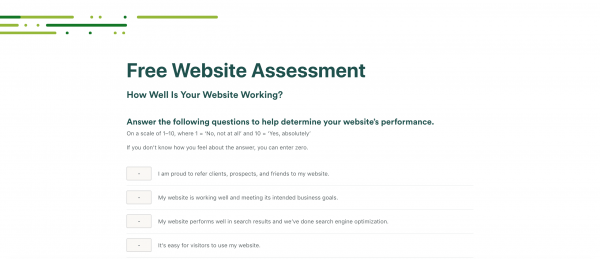 Website Assessment
