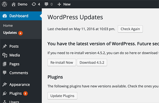 WordPress CMS Updates